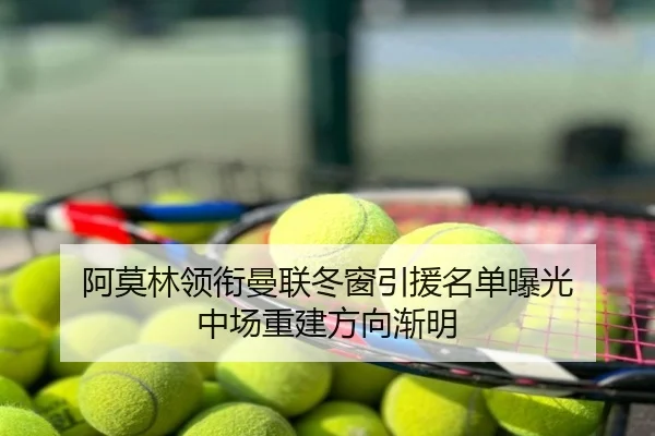 阿莫林领衔曼联冬窗引援名单曝光 中场重建方向渐明